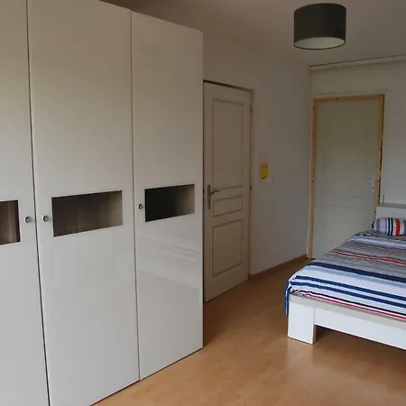 Proche Nancy Centre Belle Maison De Ville Διαμέρισμα *
